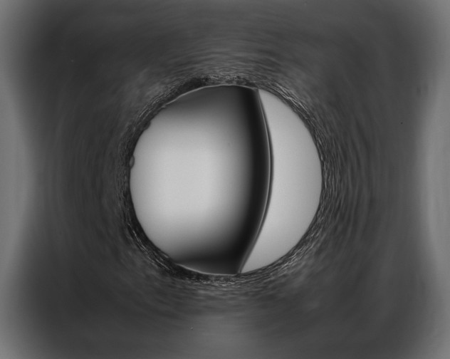 X0000086941153200704161028