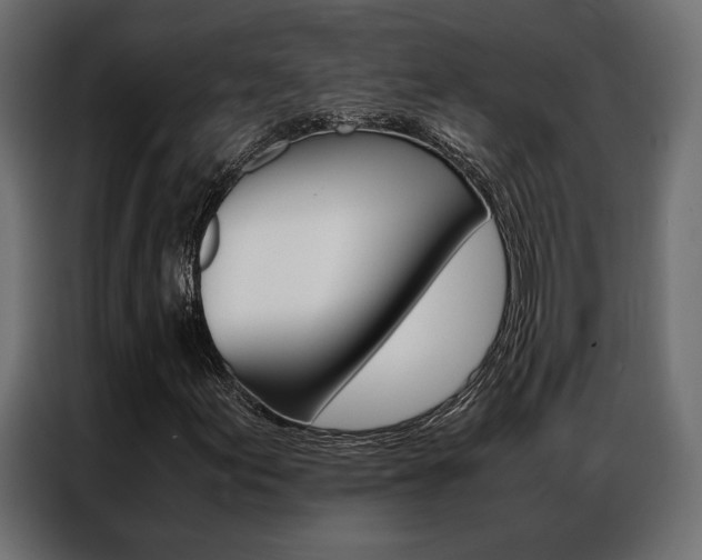 X0000086941155200704161028