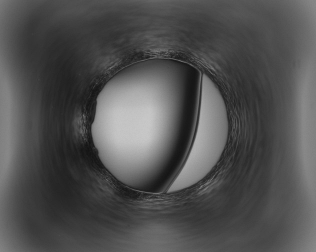 X0000086941156200704161028