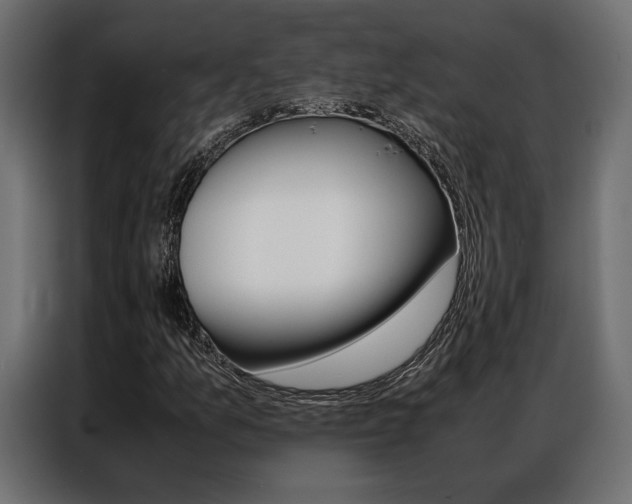 X0000086941157200704161028