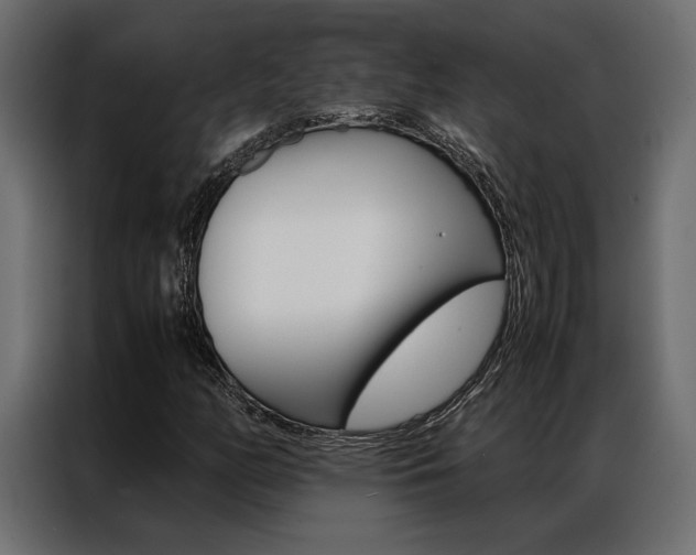 X0000086941158200704161028