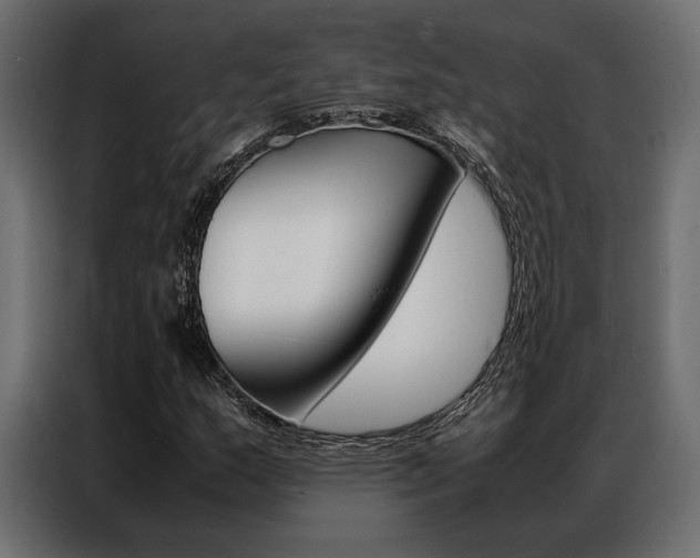X0000086941159200704161028