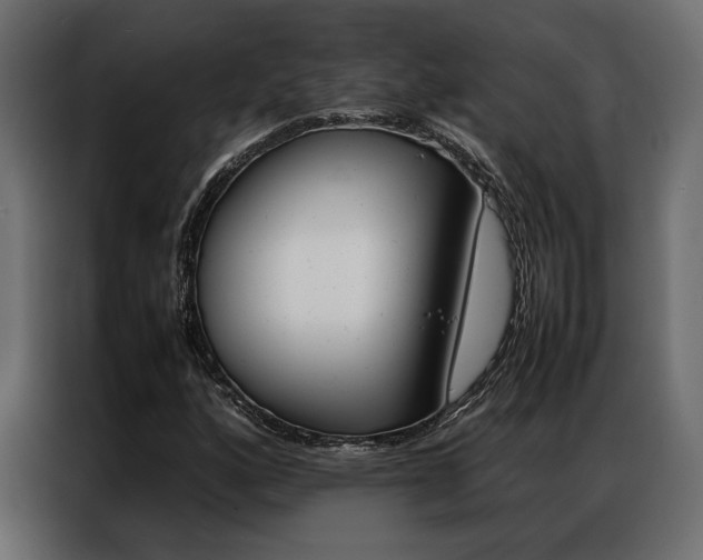 X0000086941160200704161028