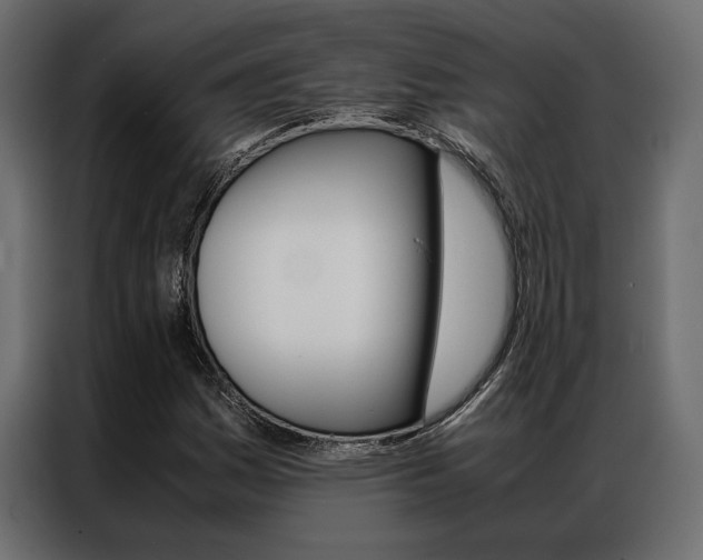 X0000086941161200704161028