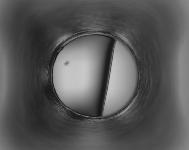 X0000086941163200704161028