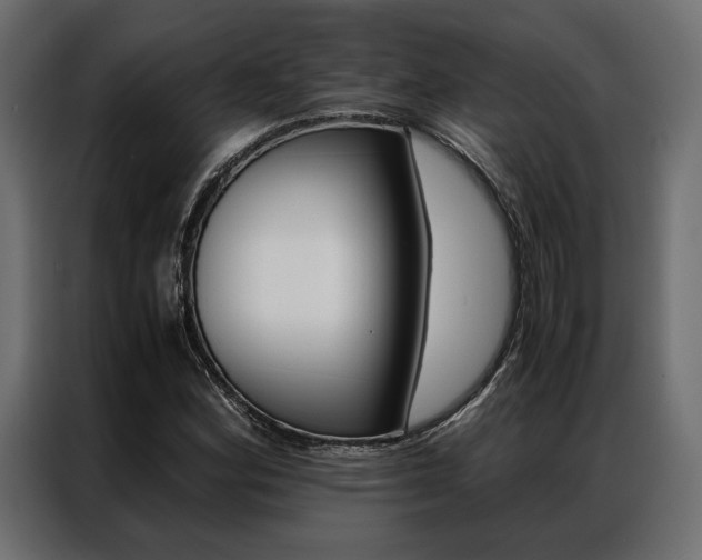 X0000086941164200704161028