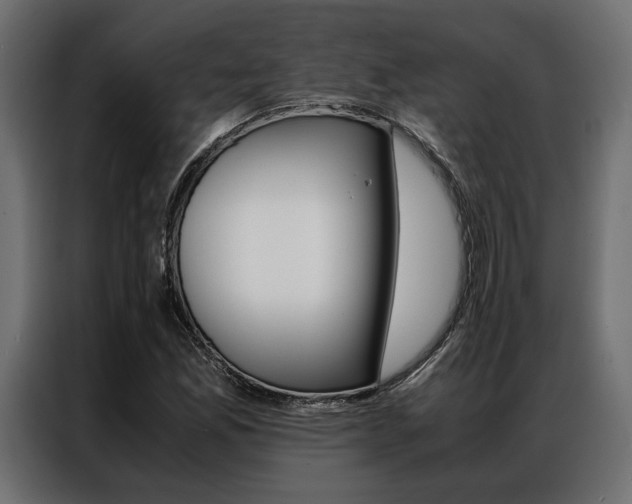 X0000086941165200704161028