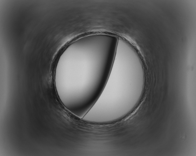 X0000086941167200704161028