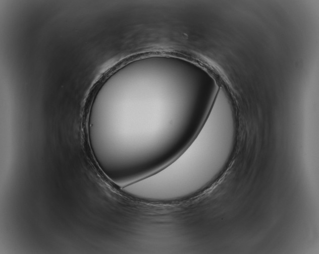 X0000086941168200704161028