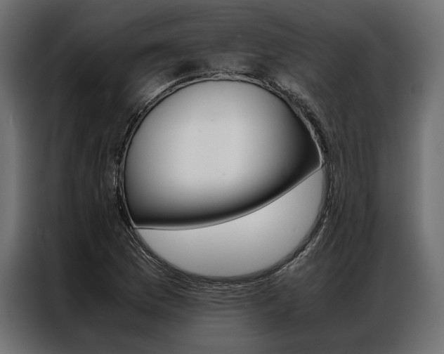 X0000086941169200704161028