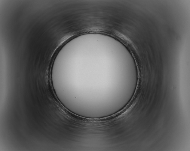 X0000086941170200704161028