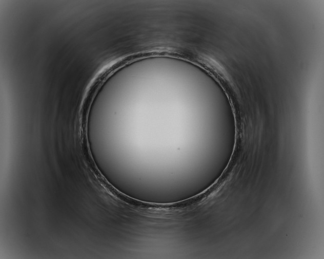 X0000086941172200704161028