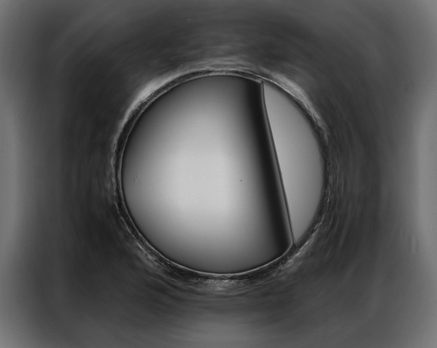 X0000086941176200704161028