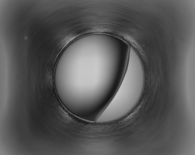 X0000086941177200704161028