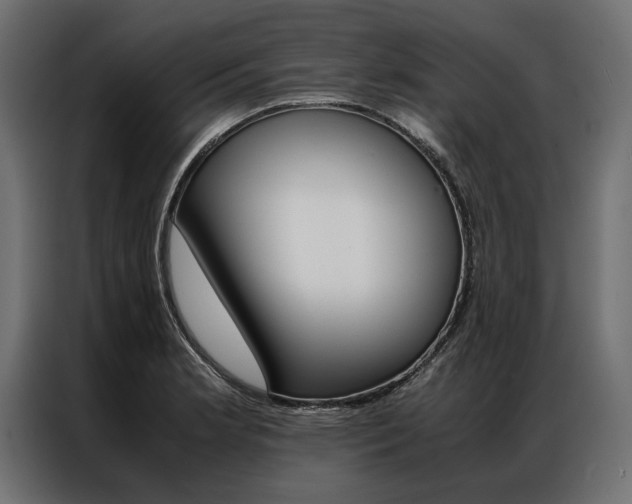 X0000086941181200704161028