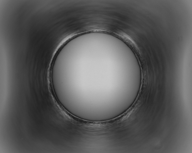 X0000086941182200704161028