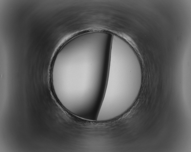 X0000086941183200704161028