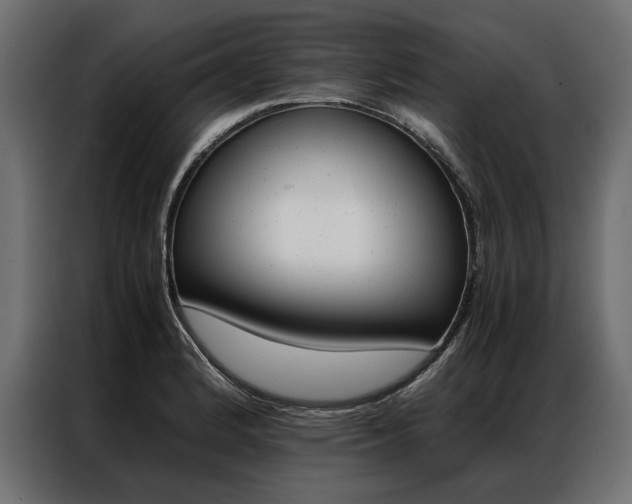 X0000086941184200704161028