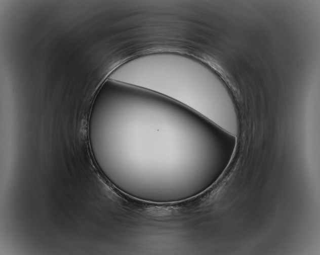 X0000086941185200704161028