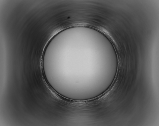 X0000086941186200704161028