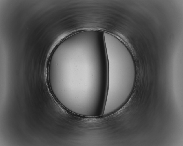 X0000086941188200704161028