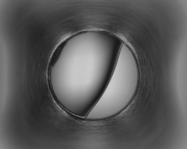 X0000086941189200704161028