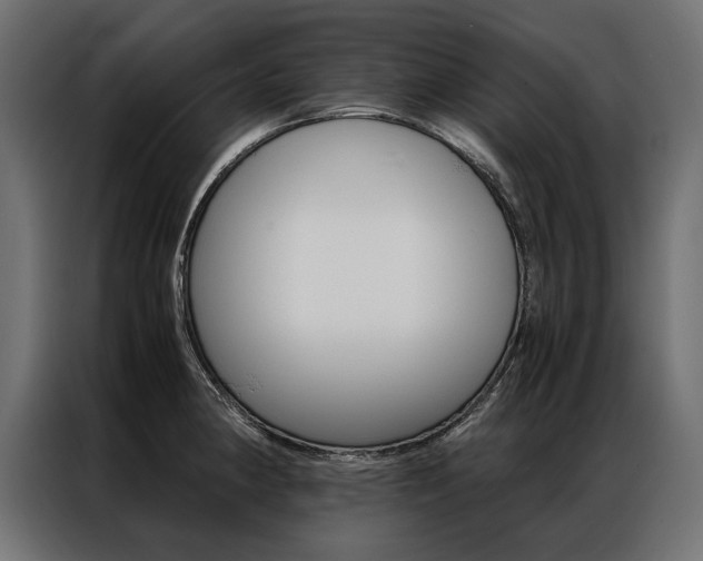 X0000086941190200704161028