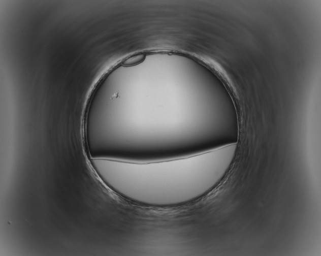 X0000086941191200704161028