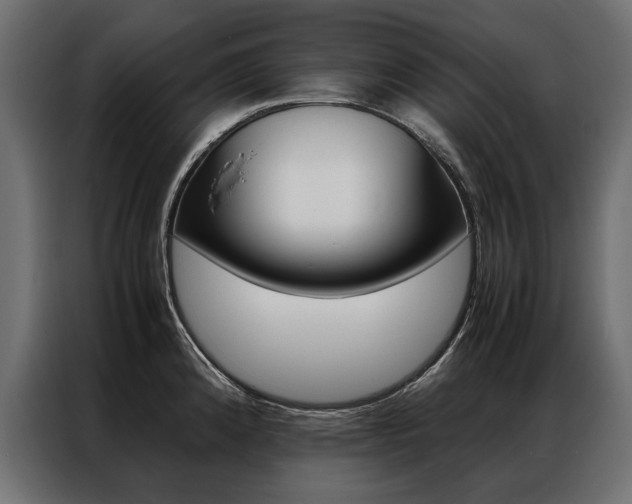 X0000086941192200704161028