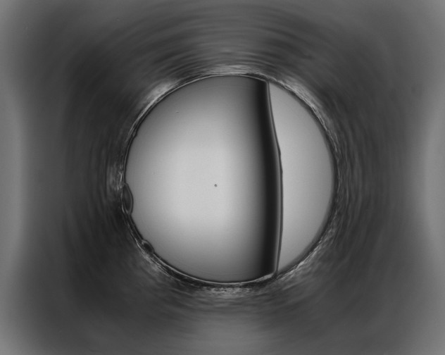 X0000086941193200704161028