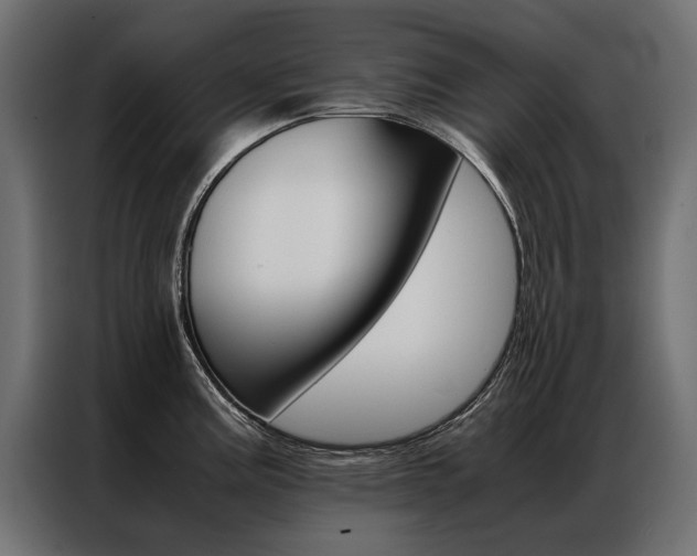 X0000086941195200704161028