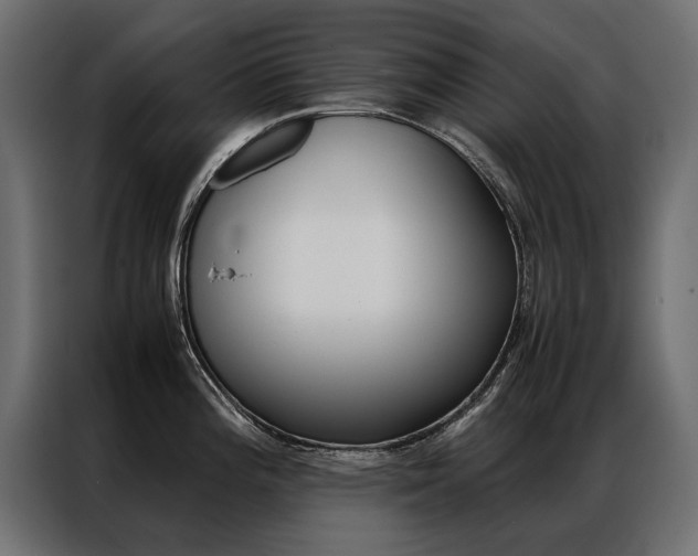 X0000086941196200704161028