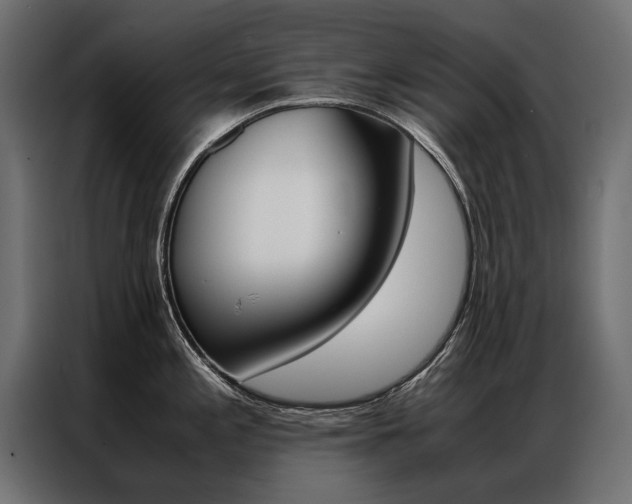 X0000086941197200704161028