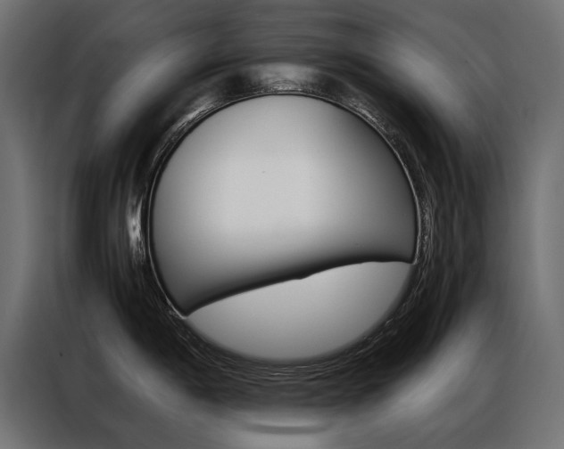 X0000086941198200704161028