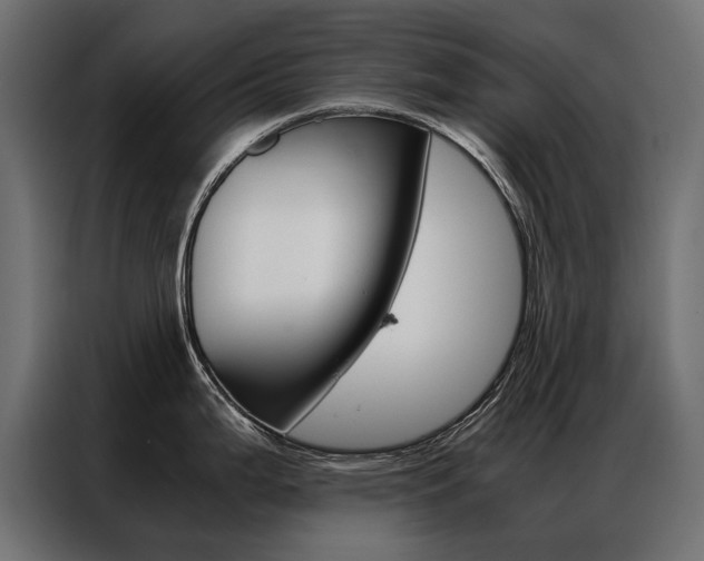 X0000086941199200704161028