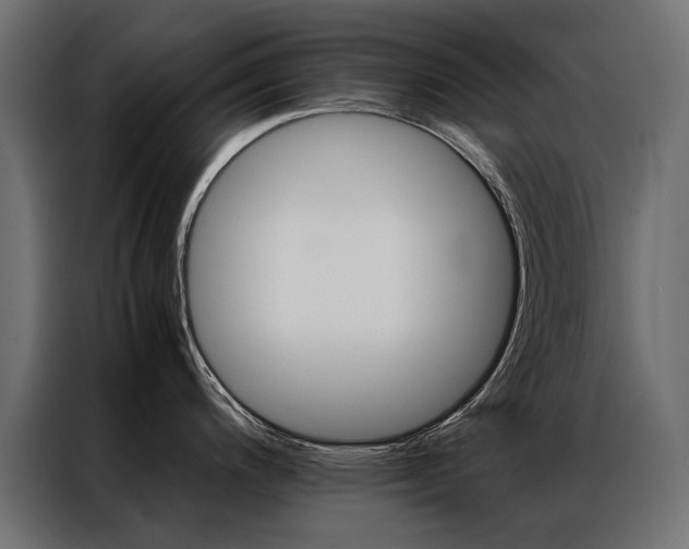 X0000086941200200704161028
