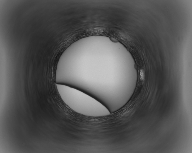 X0000086941203200704161027