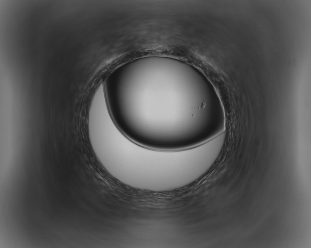 X0000086941206200704161027