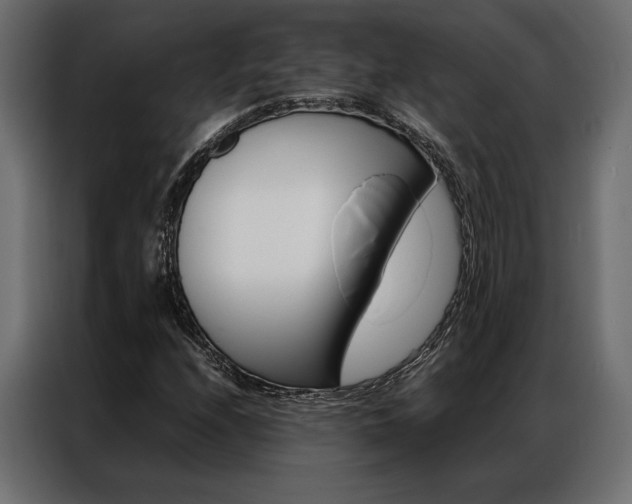 X0000086941208200704161027