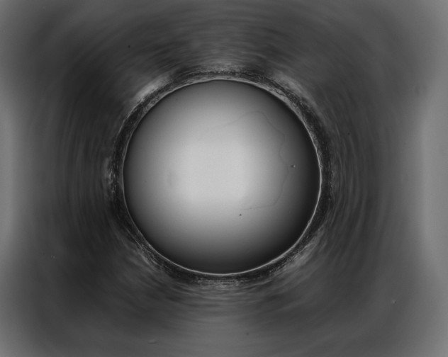 X0000086941210200704161027