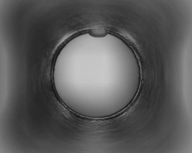 X0000086941216200704161027