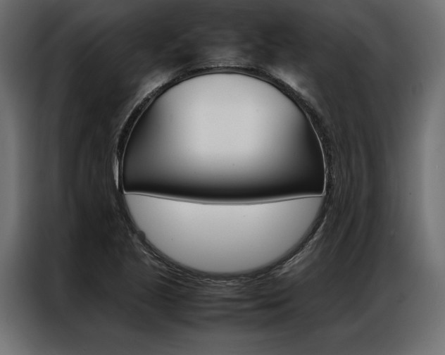 X0000086941221200704161027