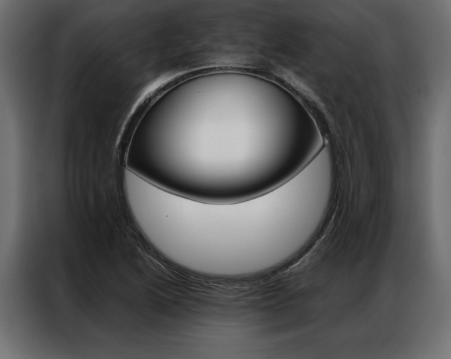 X0000086941222200704161027