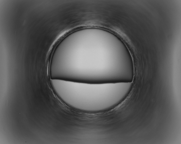 X0000086941224200704161027