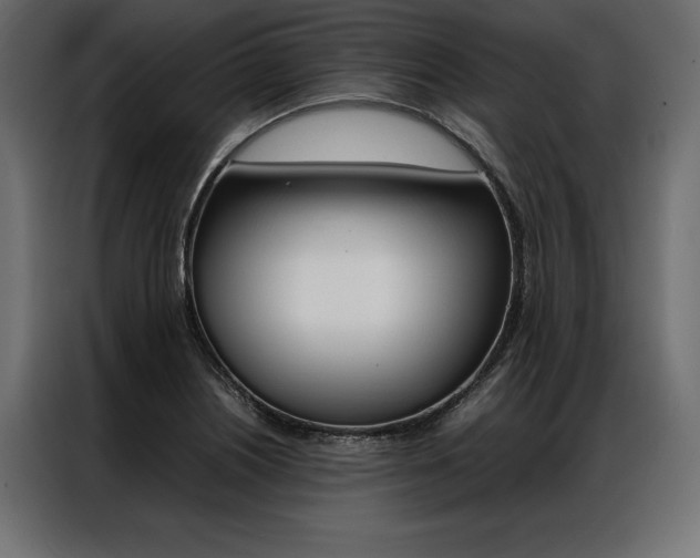 X0000086941226200704161027