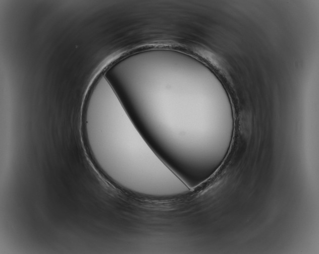 X0000086941229200704161027