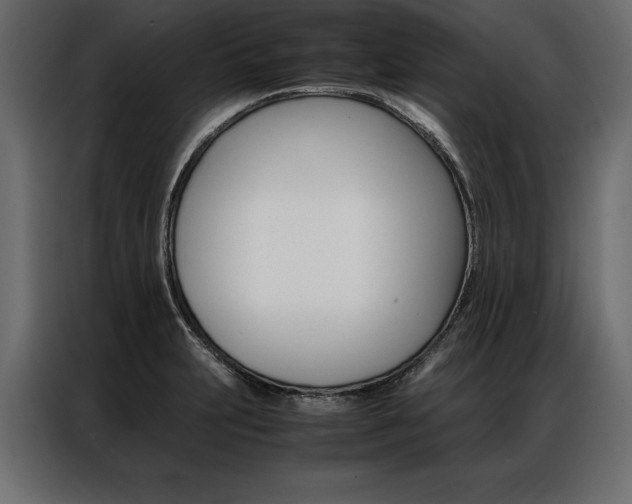 X0000086941231200704161027