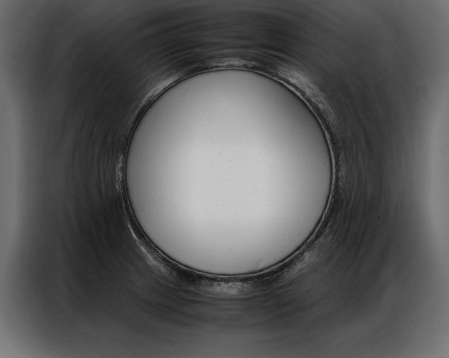 X0000086941233200704161027