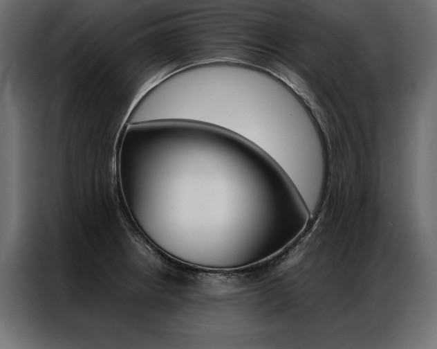 X0000086941234200704161027