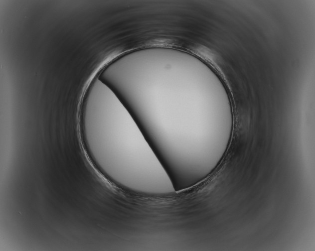 X0000086941235200704161027